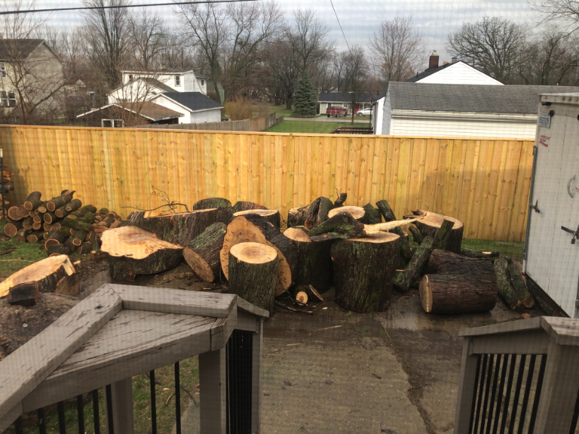 Firewood dumpster cleanup
