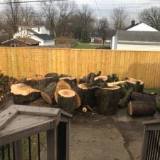 Firewood Dumpster Cleanup 0