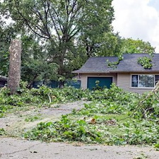 Storm Cleanup Playbook: Tree Limb & Debris Removal After High Winds Thumbnail